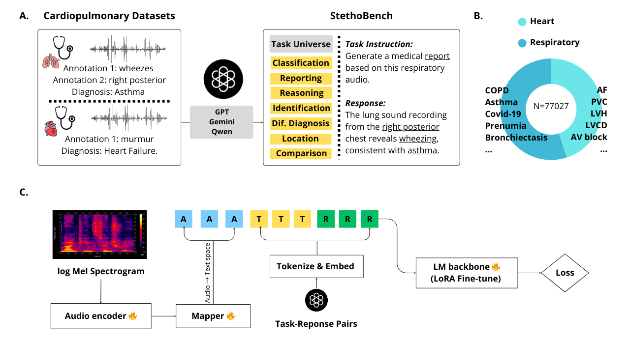 StethoLM architecture overview