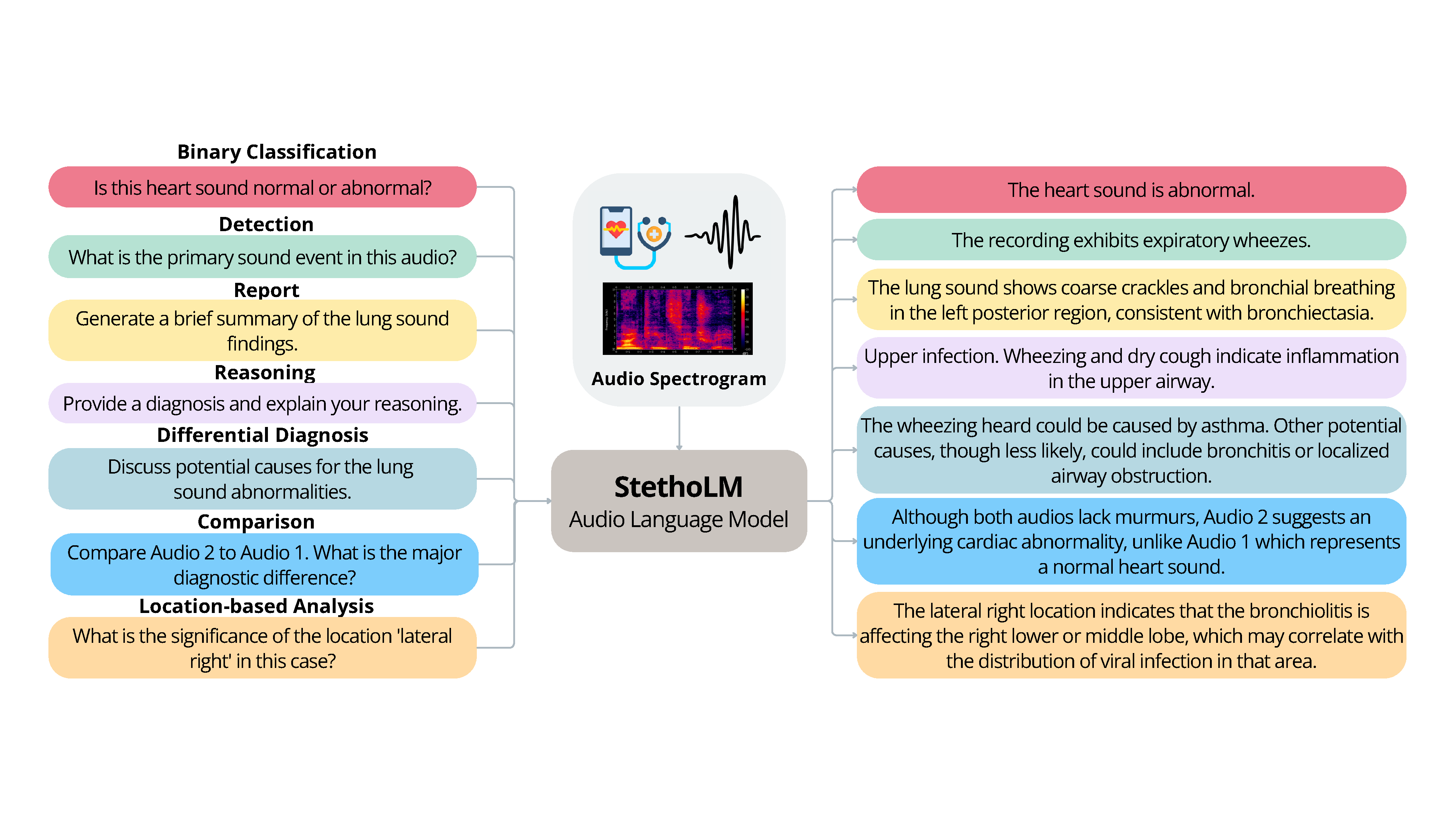 StethoBench task categories